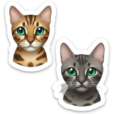 Seal Bengal cat with Blue eyes + charcoal Sepia bengal cat with Green eyes sitting  sticker