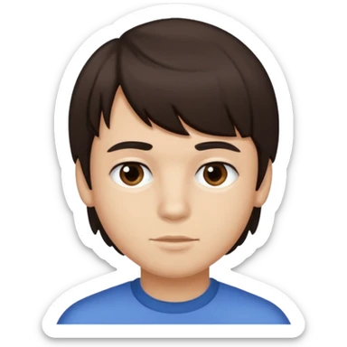 boy dark brown hair with bangs with straight eyebrows cleaning sticker