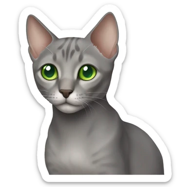Gray oriental cat with green eyes sticker