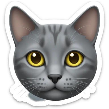 Grey Chartreux cat sticker