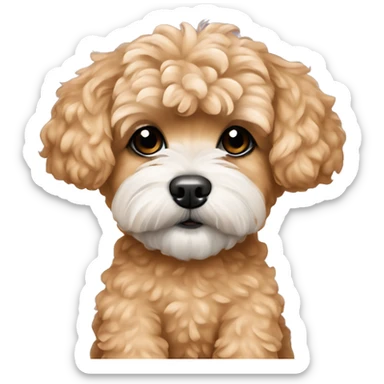 Caramel Maltipoo wearing pajamas  sticker