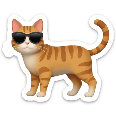 Cat wearing sunglasses sticker