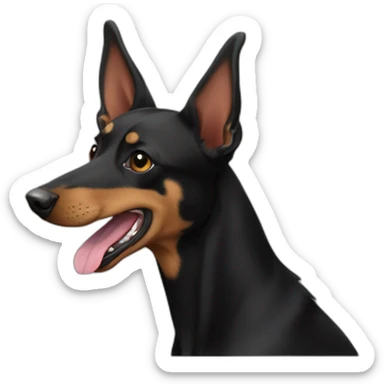 Black and tan kelpie with king tongue and floppy ear sticker