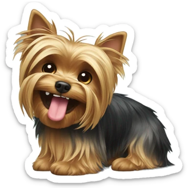 A Yorkshire terrier with a slipper in his teeth.  sticker