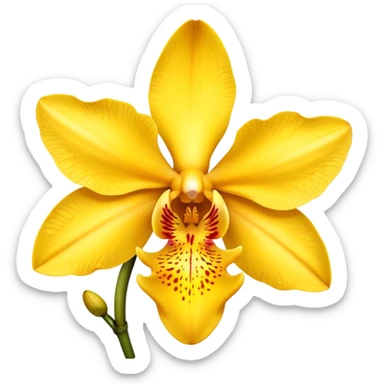 a yellow  orchid sticker