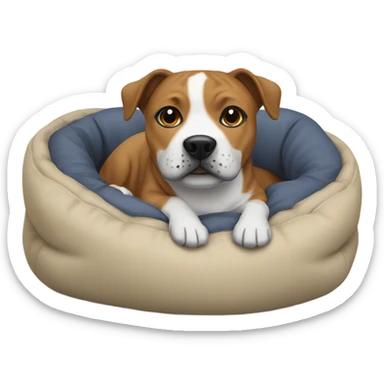 Staffie dog in small bed sticker