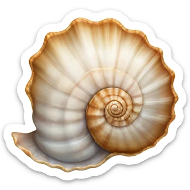 Sea Shell sticker