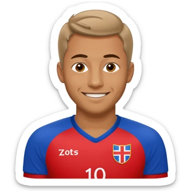 Herb Górnik Zabrze sticker