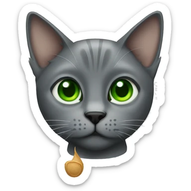 Grey cat with green eyes with a Guinness  sticker