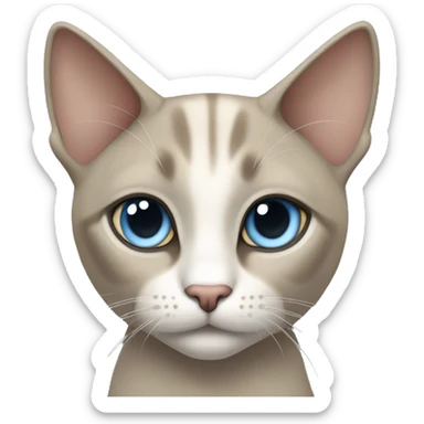 Thai breed cat with a light cream-brown body, dark gray face, ears, and paws. Short fur, sharp ears, and striking light blue eyes with an intense gaze. sticker
