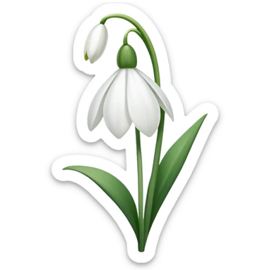 snowdrop flower sticker