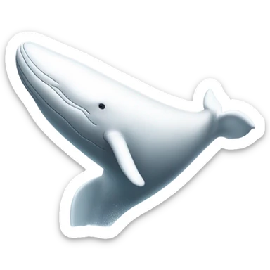 white whale , underside sticker
