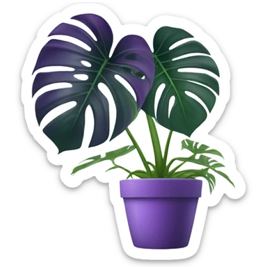all violet monstera plant in pot sticker