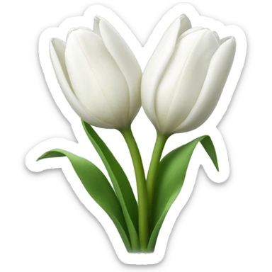White tulips sticker