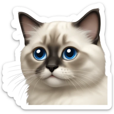 an entire birman kitten, small face, some spots of dark on the ears and middle of the face, blue eyes, laying down relaxed on a shoulder. sticker