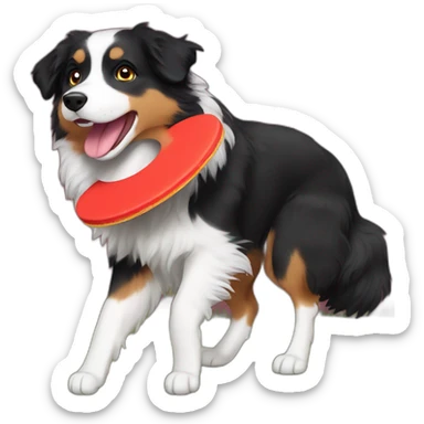 Black Tri Australian Shepherd catching a red Frisbee sticker