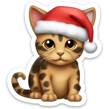 Tortoise colored cat with Christmas har sticker