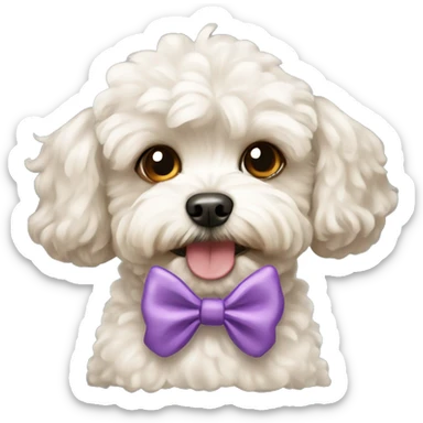 Maltipoo dog with bow sticker