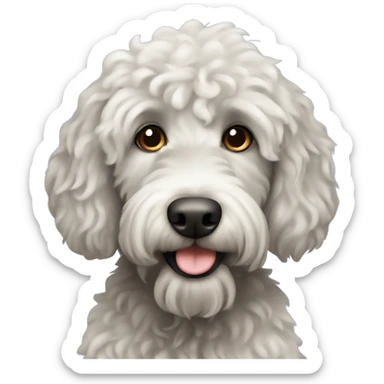 Black labradoodle dog not curly sticker