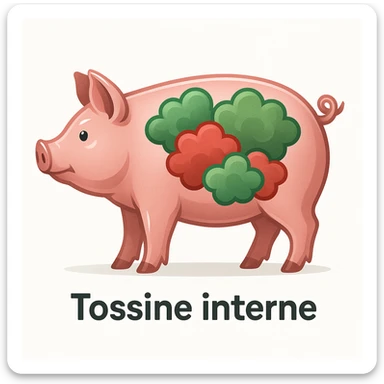 symbolic illustration of a pig with shiny dry skin, green/red toxin clouds inside the body, white background, Italian text: 'Tossine interne', 4K quality sticker