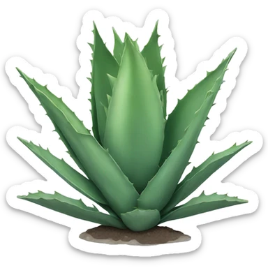Agave plant sticker