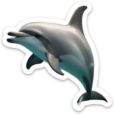 Good morning from a dolphin sticker