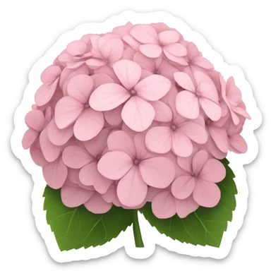 Light pink hydrangeas sticker