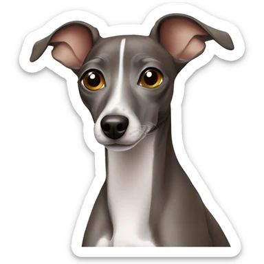 Italian greyhound  sticker