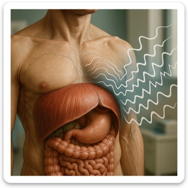 hyper realistic human diaphragm filtering stress, anatomical details, stress waves blocked or deflected by diaphragm, clinical atmosphere, natural colors, modern medical environment sticker
