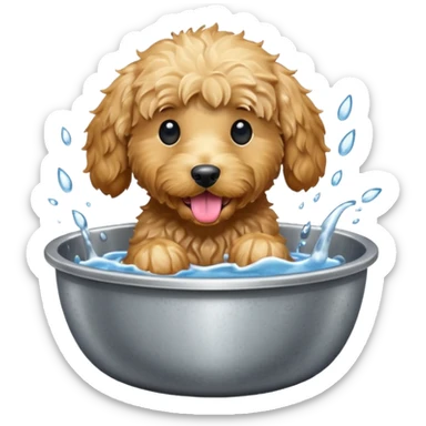 Golden doodle lapping water sticker
