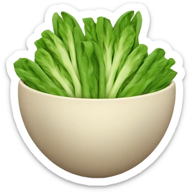 Healthy Food in a bowl sticker