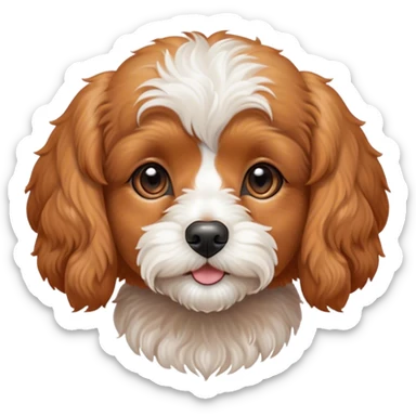 Cinematic Noble Apricot Cavoodle Portrait Emoji, Poised and regal, with a compact, cuddly build and a soft, curly apricot coat accented by gentle white markings, deep-set soulful brown eyes, Simplified yet sharp and sophisticated features, highly detailed, glowing with a soft, dignified glow, high shine, intelligent and affectionate, stylized with an air of elegance, focused and attentive, soft glowing outline, capturing the essence of a watchful and confident companion, so majestic it feels as though it could step out of the screen with effortless authority! sticker