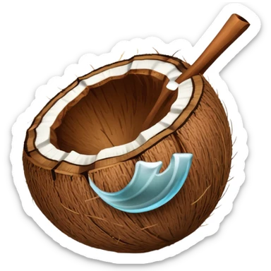 Noix de coco légèrement plus petite sans deco sticker