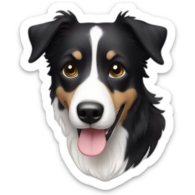 dog, short-hair, black-hair, white-chest, white-stripe-down-face, border-collie, mcnab, terrier sticker