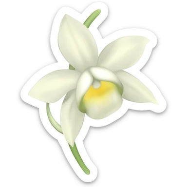 vanilla with the flower sticker