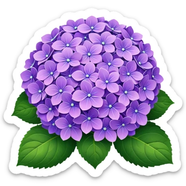 Hydrangea sticker