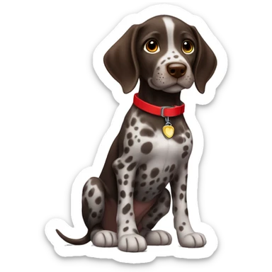 Dark Brown spotted German short haired pointer puppy with ticking with red collar  sticker