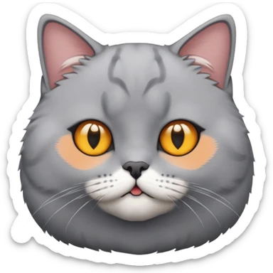 British shorthair cat sticker