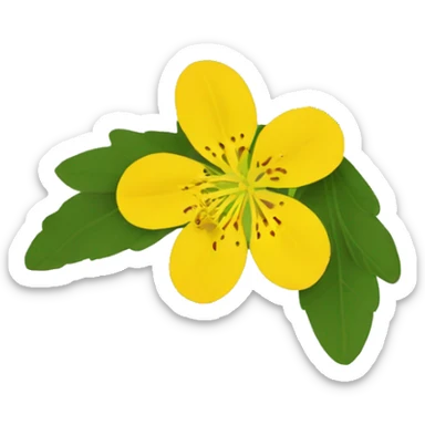 St. John's wort sticker