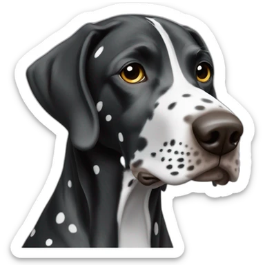 black german shorthair pointer, long snout, full black head, without white on the head, with white hair on the snout, black and white spotted body sticker