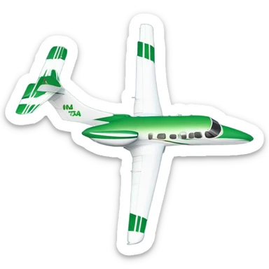Double engine 6 seat cesna model jet with green stripe down it  sticker