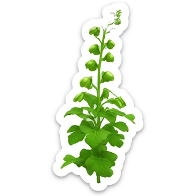 bells of ireland plant sticker