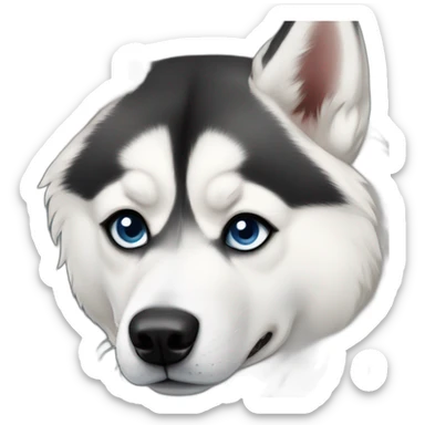 Siberian husky with different eyes sticker