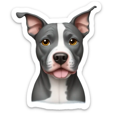 Pit bull mixed with a blue healer dog  sticker