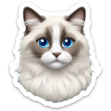 Ragdoll with blue eyes wearing a christmas sweater sticker