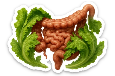 foglie di insalata che attaccano un intestino anatomico umano per distruggerlo, iperrealisticoù sticker