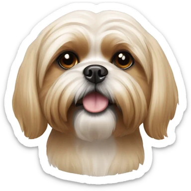 golden shih tzu sticker