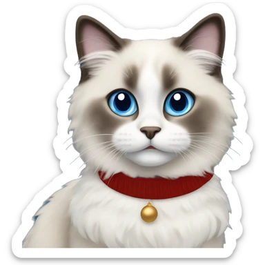 Ragdoll with blue eyes wearing a christmas sweater sticker