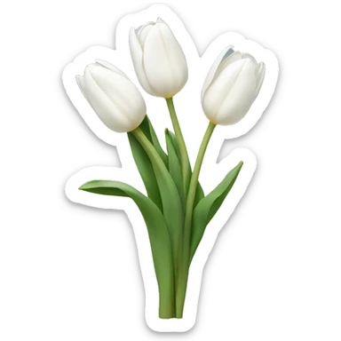 White tulips sticker