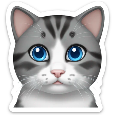 Gray/ black/ withe munchkin cat sitting with blue eyes sticker
